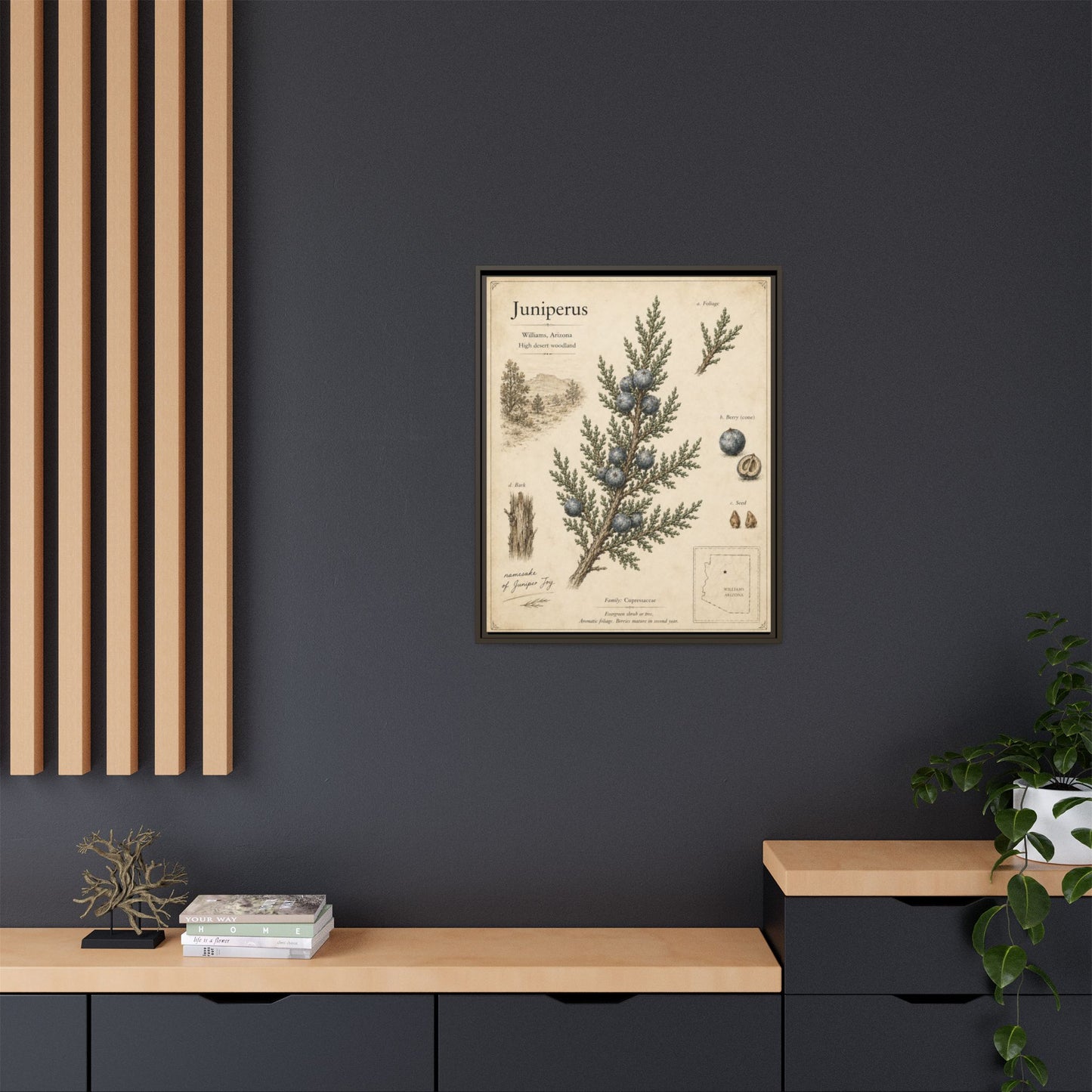 Juniperus Botanical Print — Framed Matte Canvas Wall Art