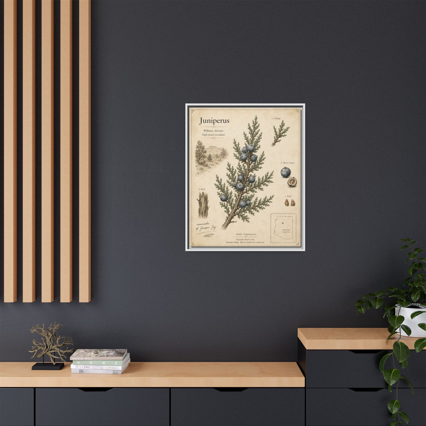 Juniperus Botanical Print — Framed Matte Canvas Wall Art