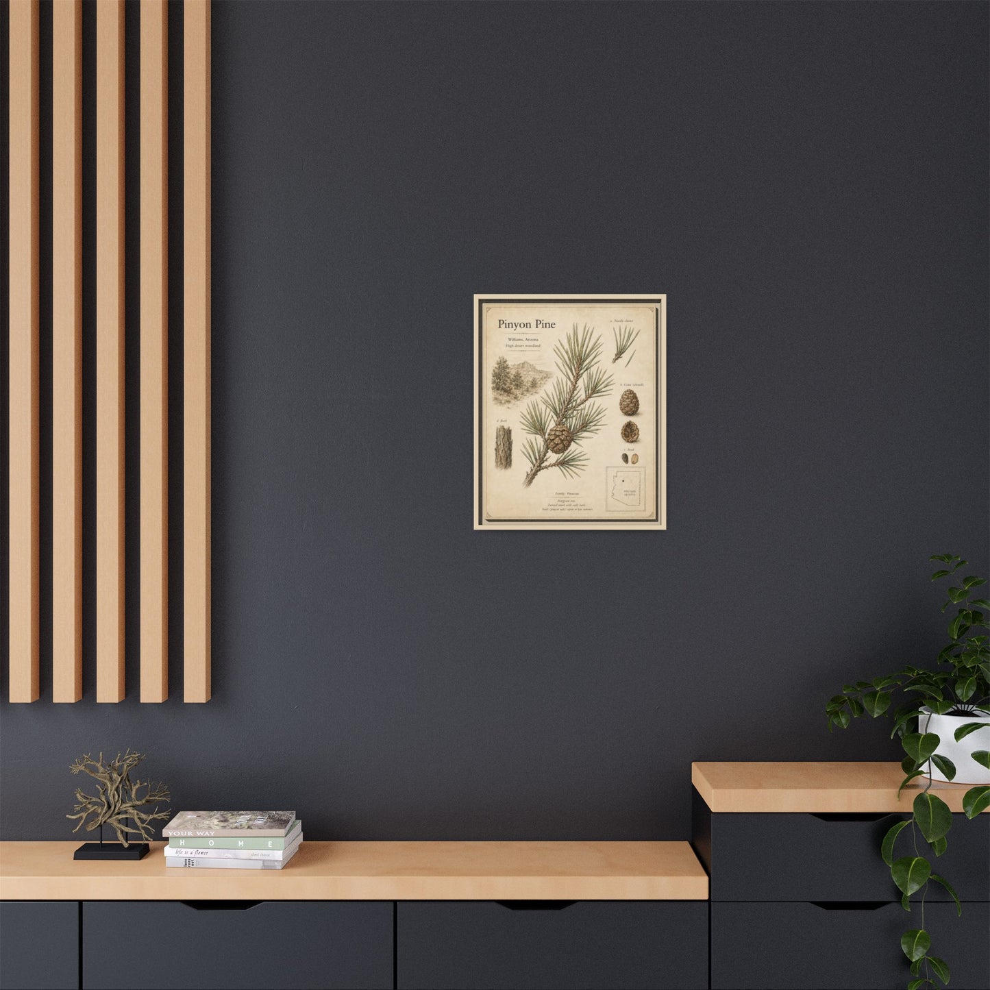 Pinyon Pine Botanical Print — Framed Matte Canvas Wall Art