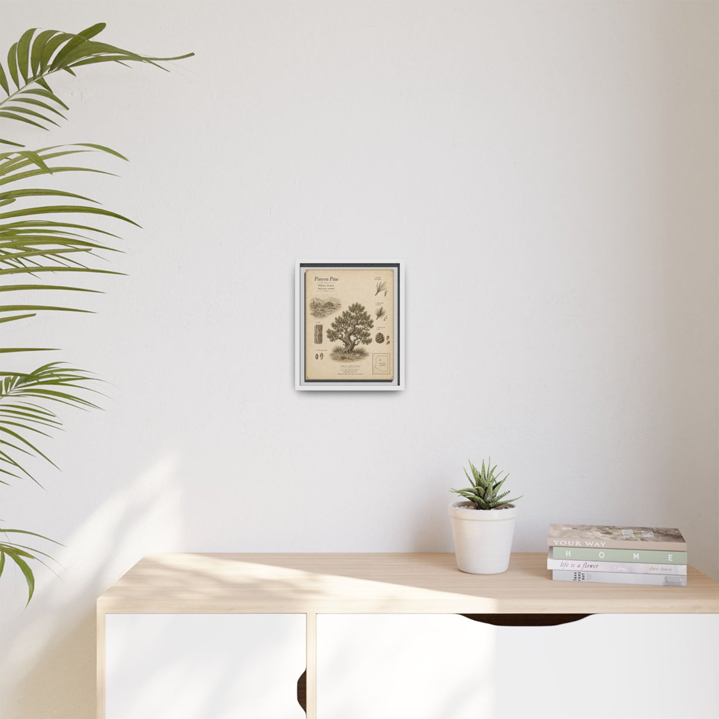 Pinyon Pine Botanical Print - Framed Matte Canvas Wall Art
