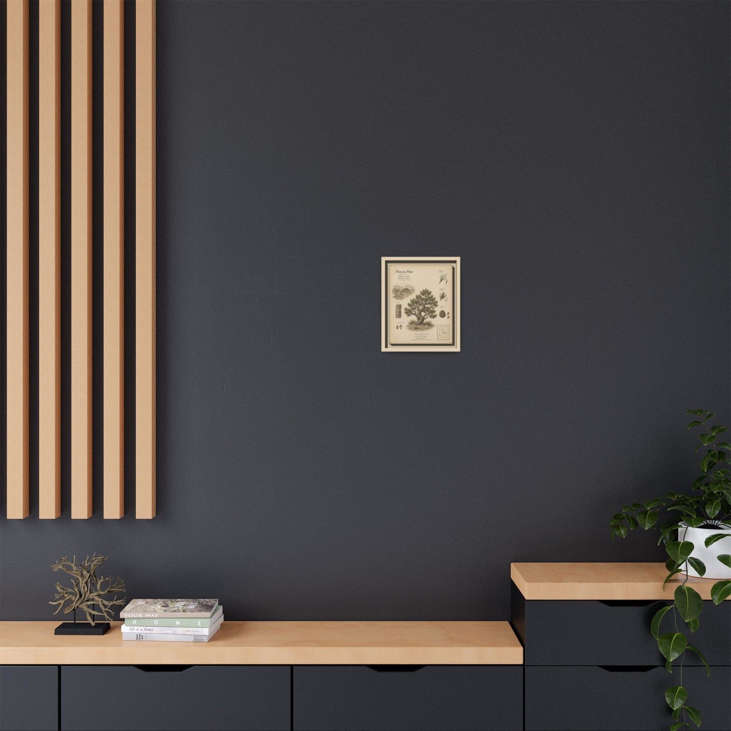 Pinyon Pine Botanical Print - Framed Matte Canvas Wall Art