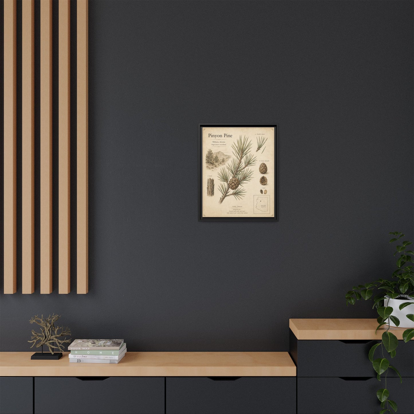 Pinyon Pine Botanical Print — Framed Matte Canvas Wall Art