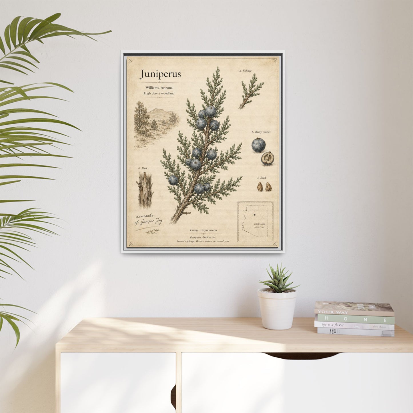 Juniperus Botanical Print — Framed Matte Canvas Wall Art