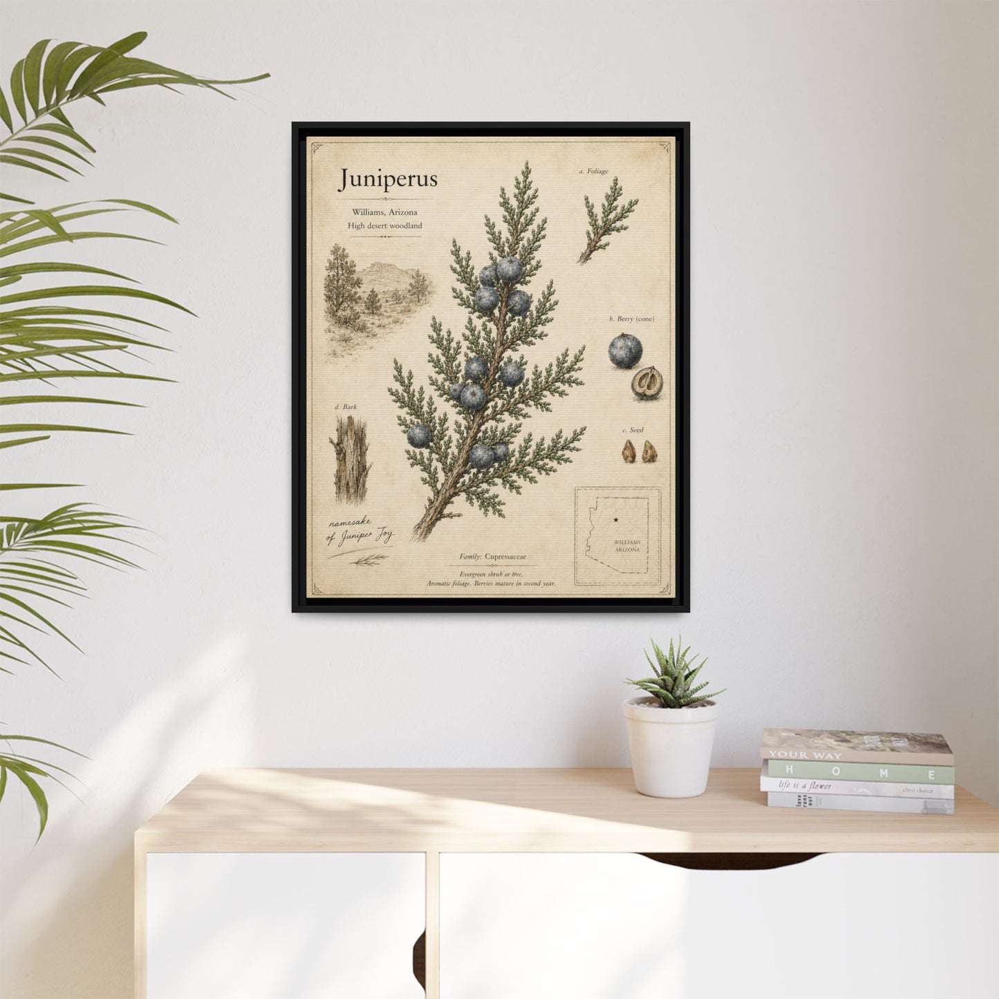 Juniperus Botanical Print — Framed Matte Canvas Wall Art