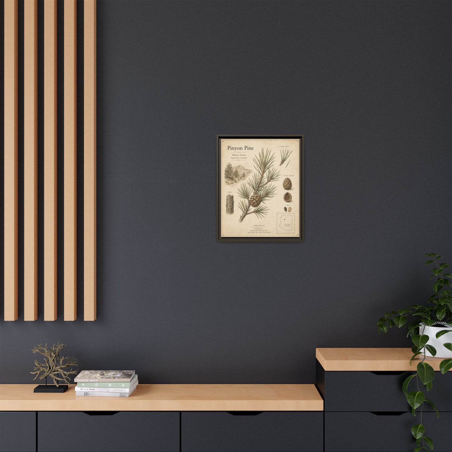 Pinyon Pine Botanical Print — Framed Matte Canvas Wall Art