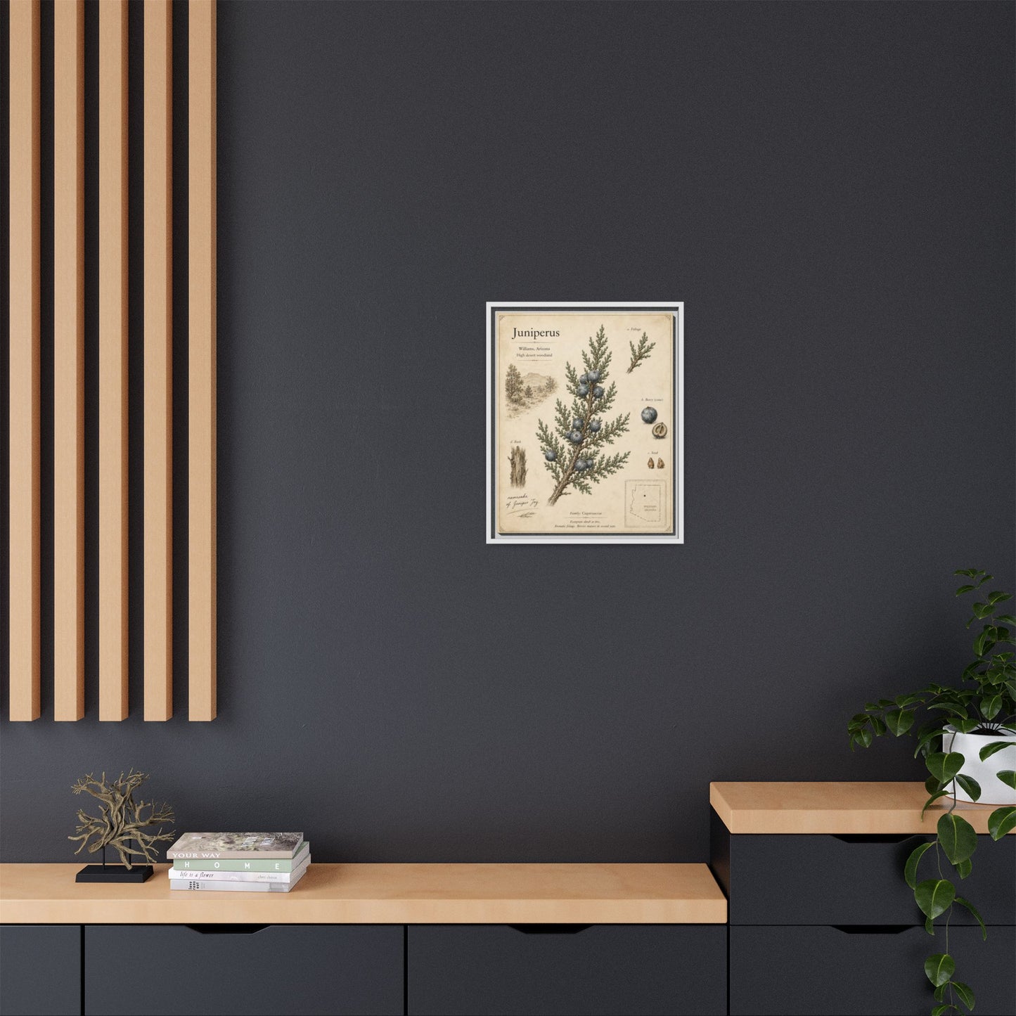 Juniperus Botanical Print — Framed Matte Canvas Wall Art