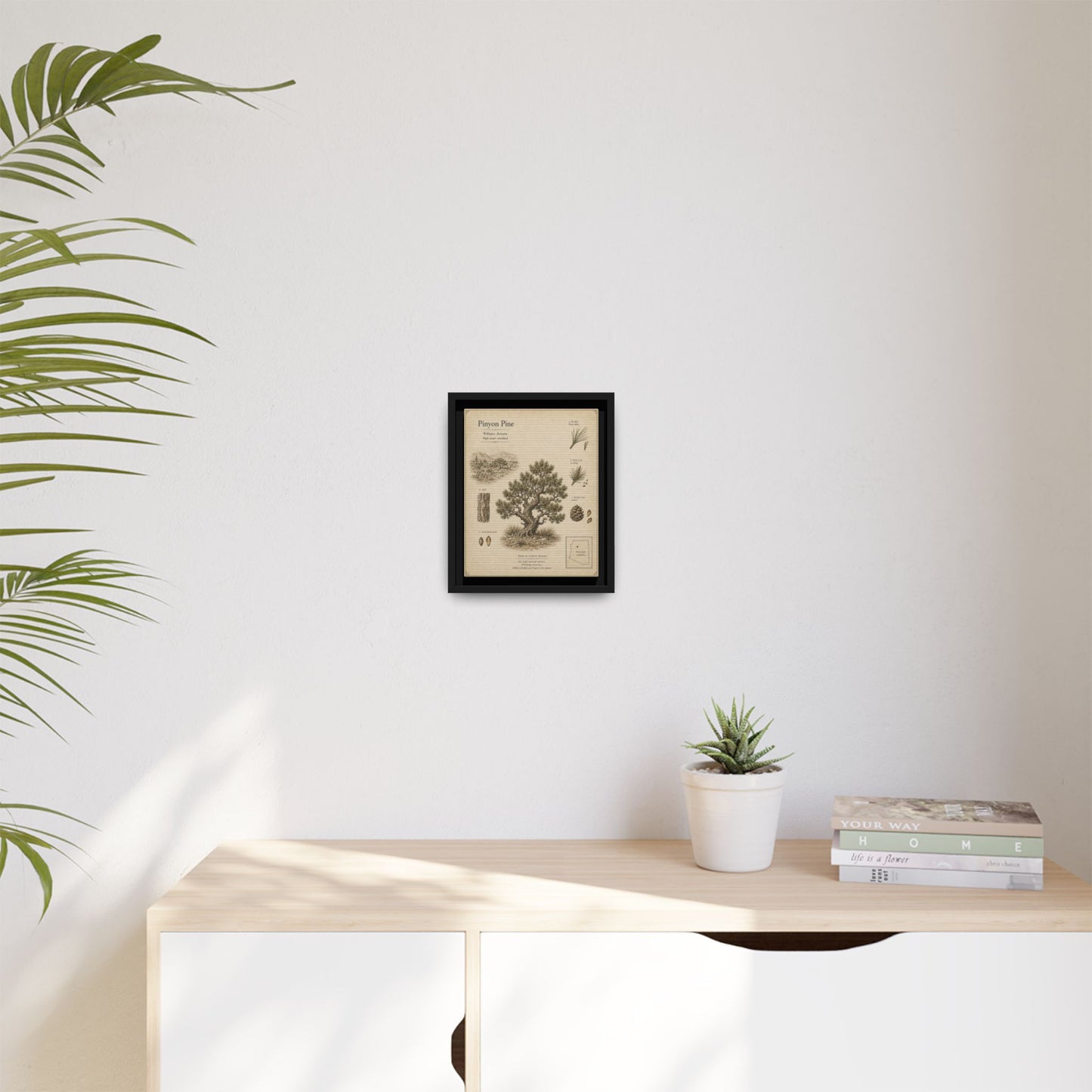 Pinyon Pine Botanical Print - Framed Matte Canvas Wall Art